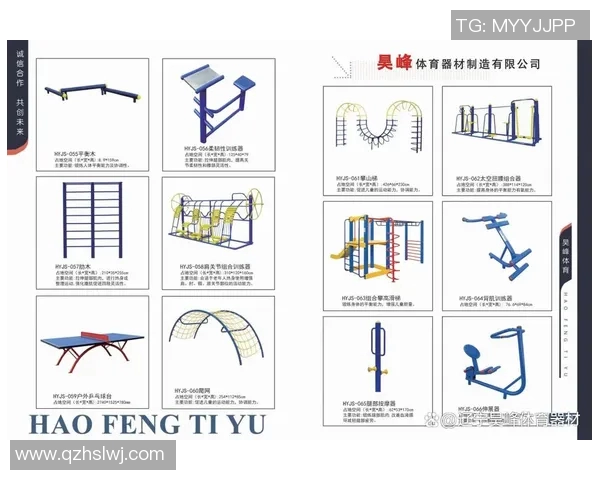 适合女生使用的健身器材及图解指南